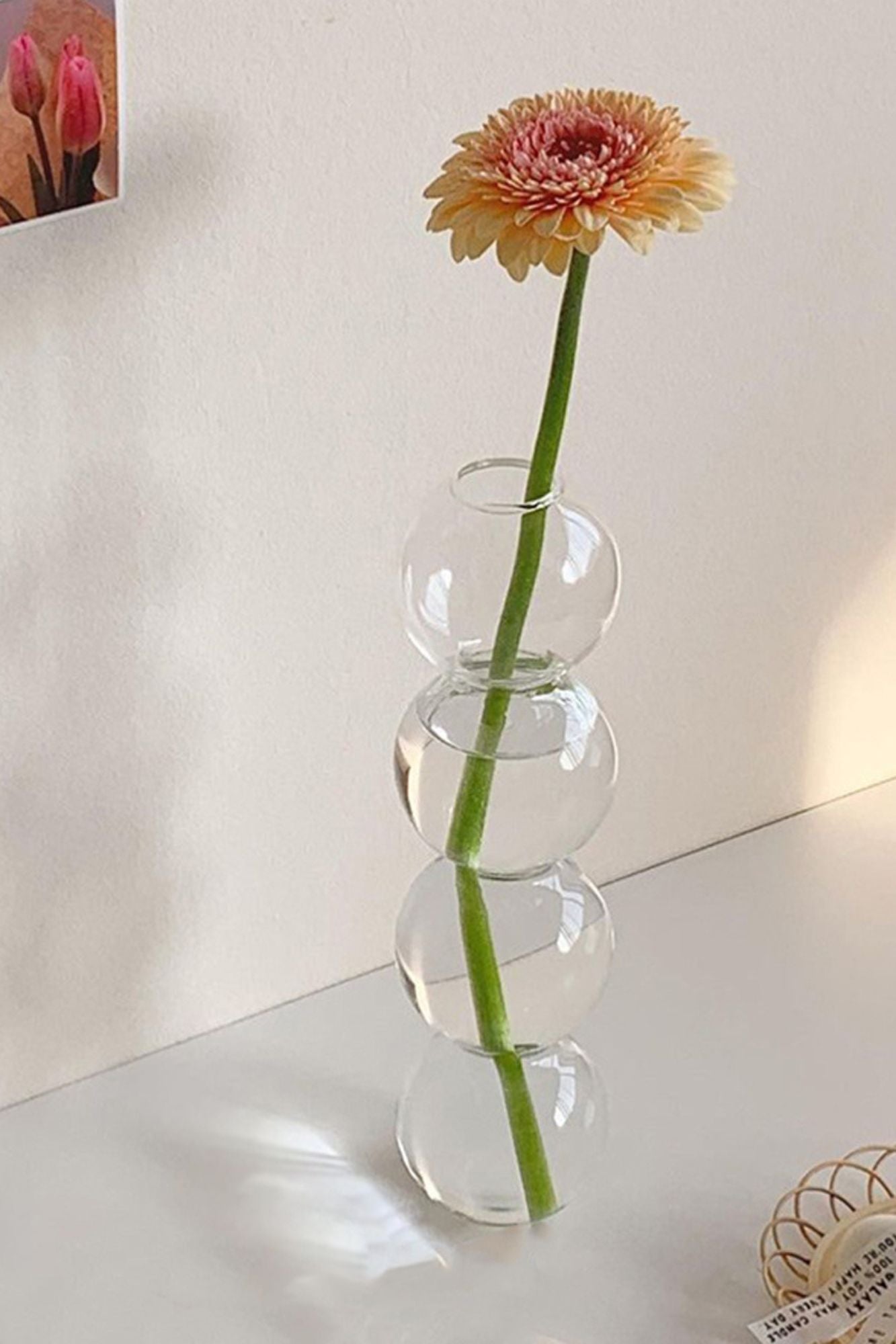 Vaso de Vidro Bolha Hidropônico