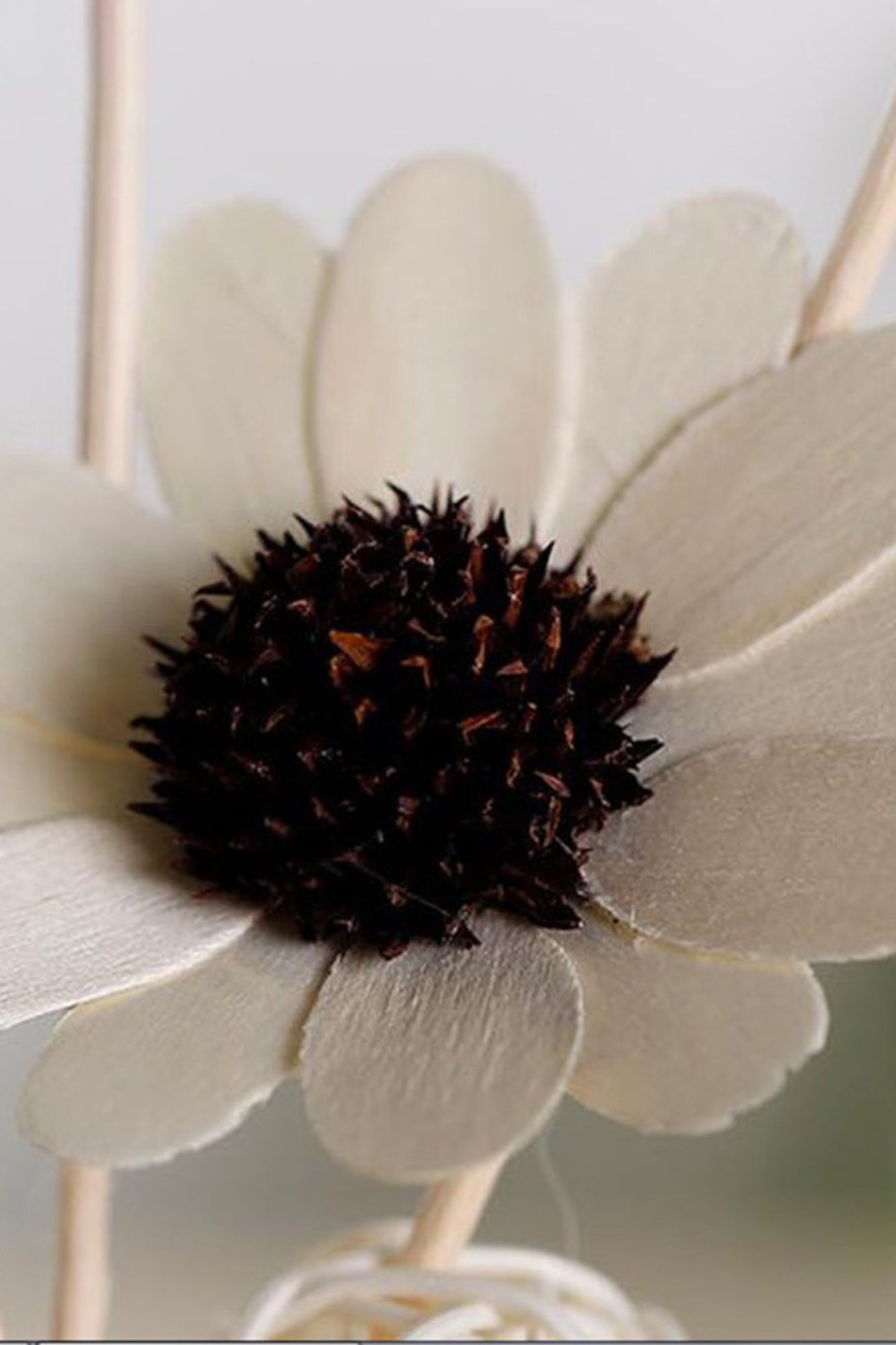 Aromatizador Girassol